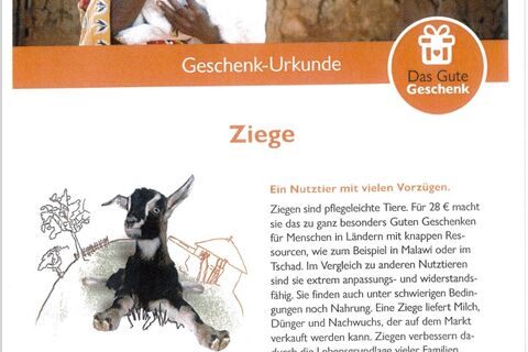 Wir spenden eine Ziege